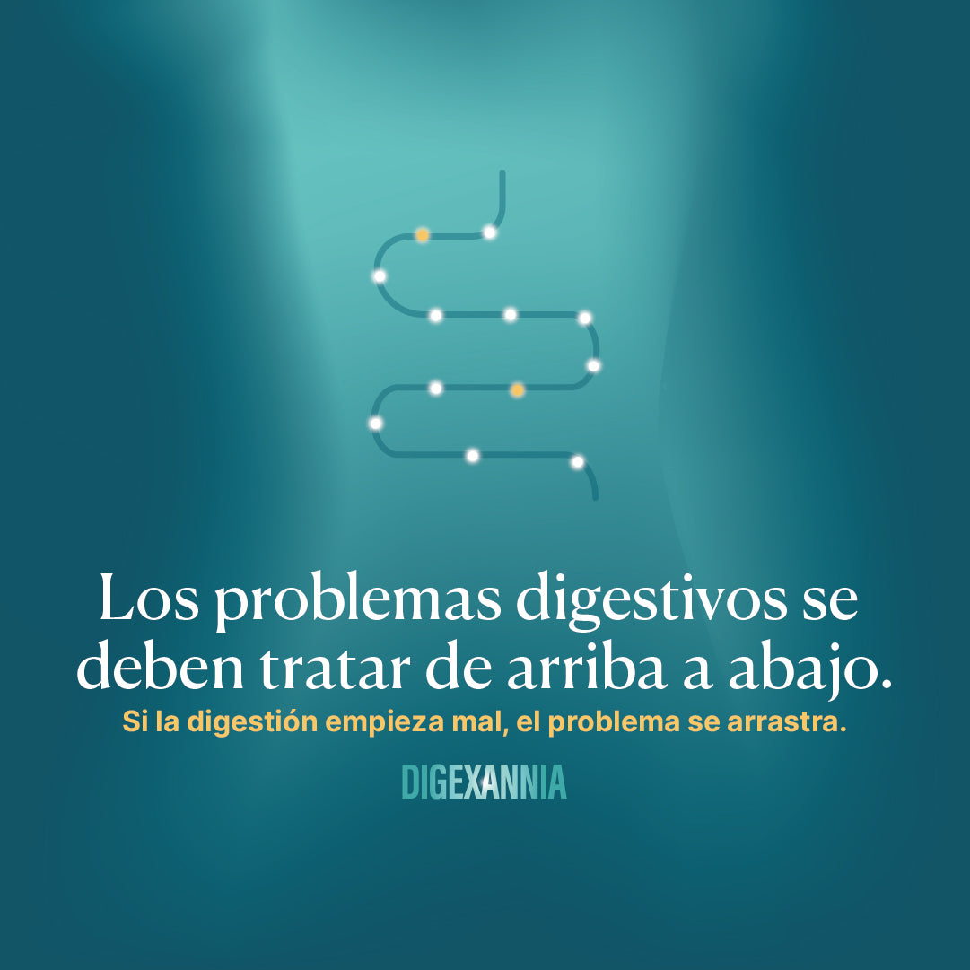 Digexannia