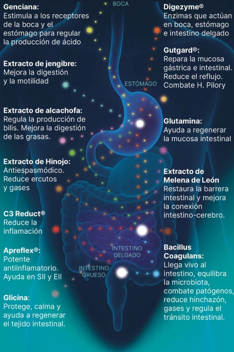 Infografía ingredientes
